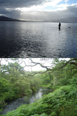 zwei bilder fischer im see und fluss